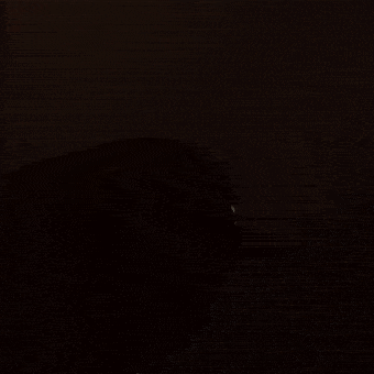 Breathable Running Shoes